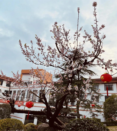 杜山庄