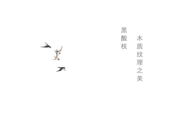 abipac
红木