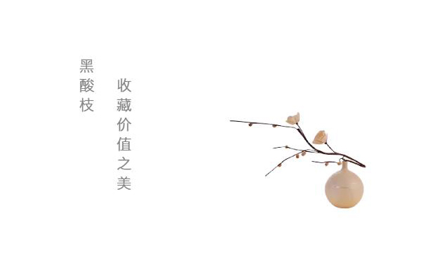 abipac
红木